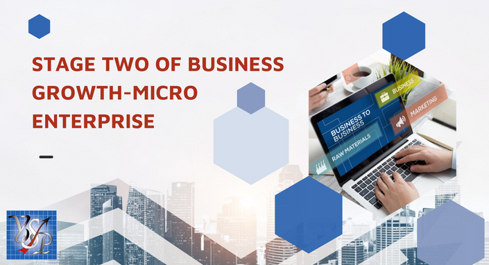 Stage Two of Business Growth-Micro Enterprise